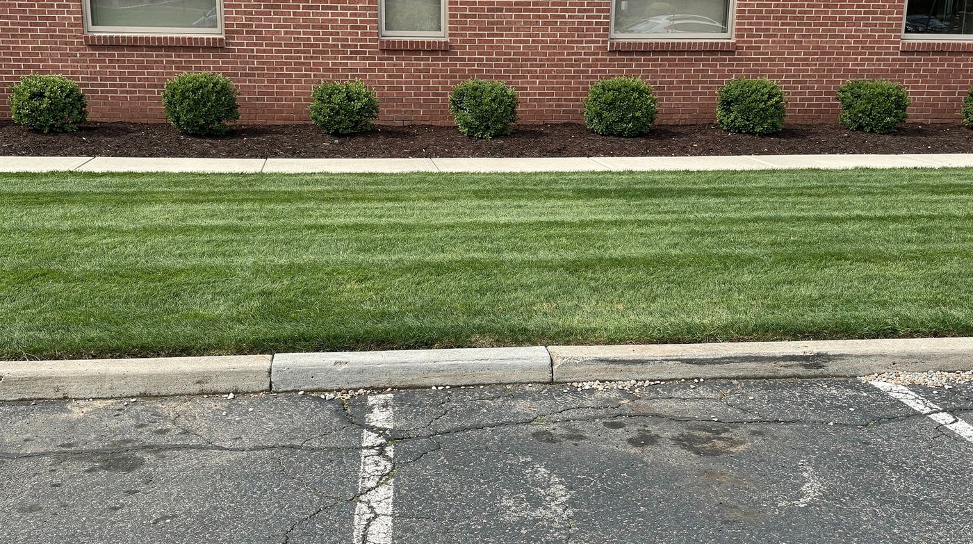 Freshly mowed commercial lawn with crisp mowing stripes and manicured shrubs, Long Island